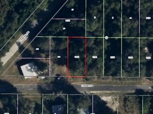 10502 E Rabbit Ln, Floral City, FL 34436