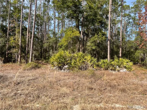 LOT 23 SW Tiger Lake Blvd W, Dunnellon, FL 34431