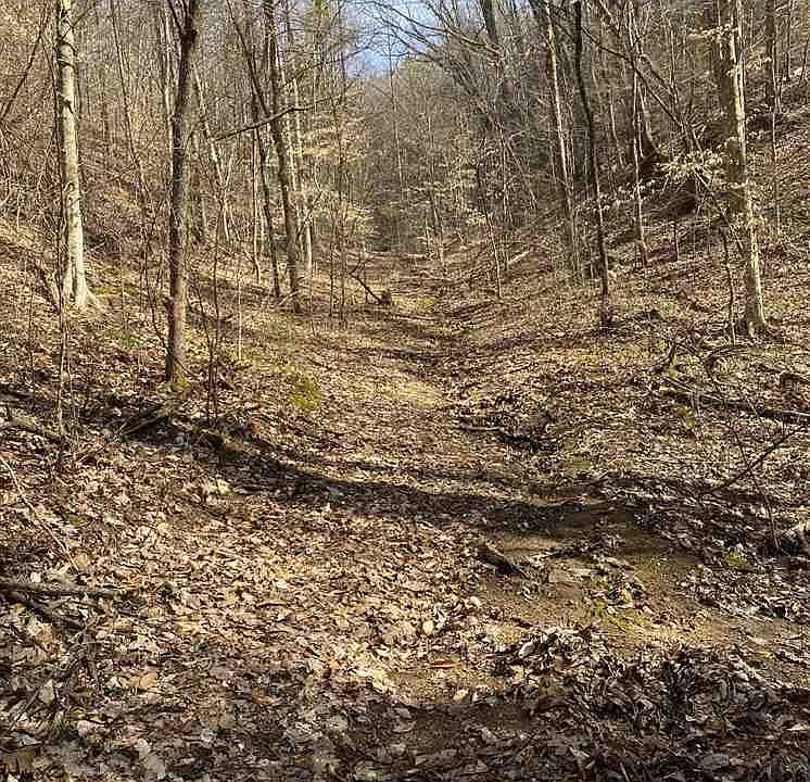 2nd image of 2410 Spence Mountain Loop