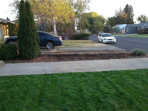 View Down Street, FrontYard