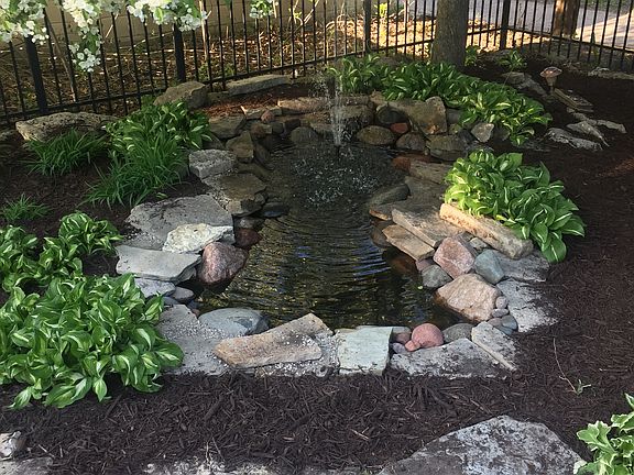 Koi pond
