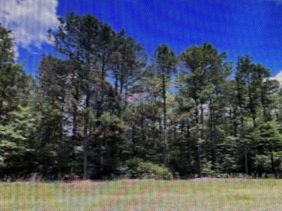 Tbd Marks Creek Church Rd, Hamlet, NC, 28345