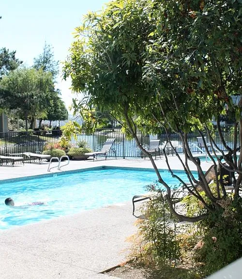 34 Shoreline Ct — Photo 8