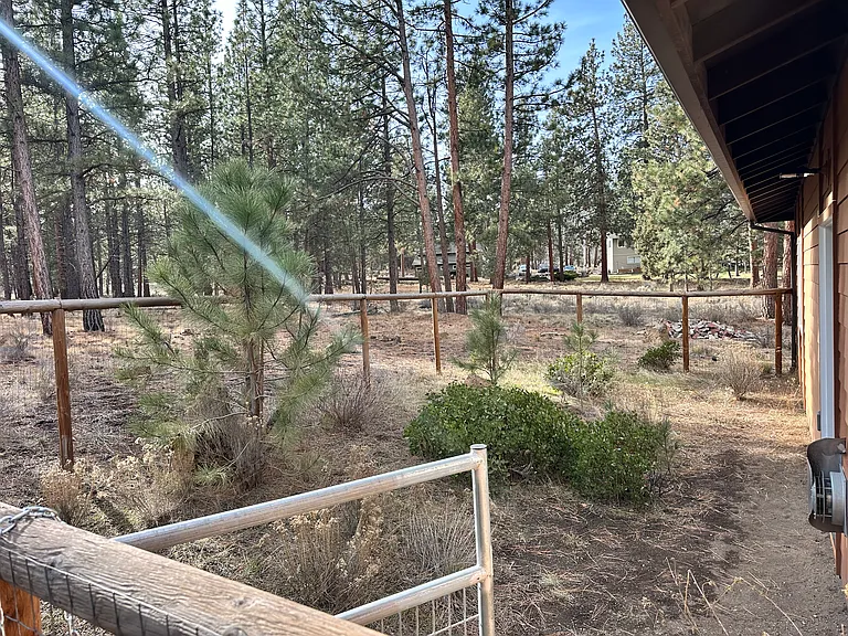 Fenced in outdoor area (plans for paver patio install next summer)