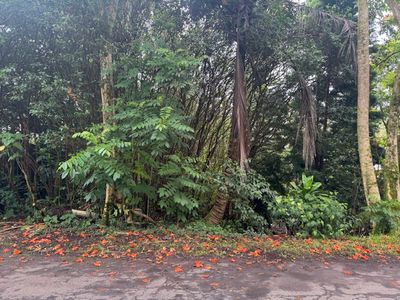 Ocean View Pkwy Lot 864, Pahoa, HI, 96778