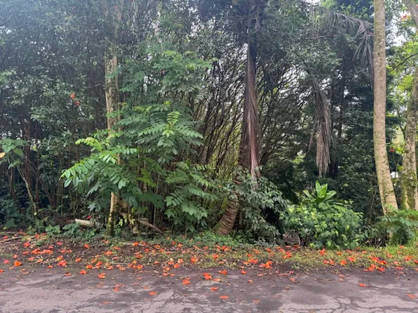 Ocean View Pkwy Lot 864, Pahoa, HI 96778