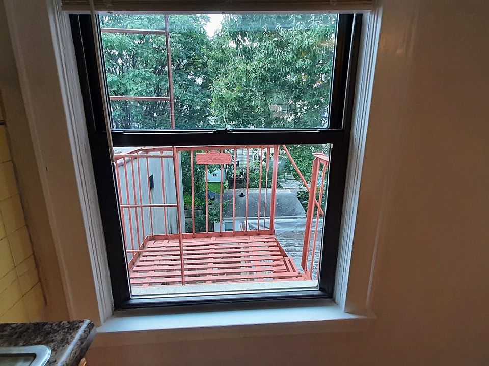 View from Kitchen to backyard.