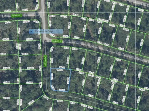 8746 Robbia St #14, Sebring, FL 33872