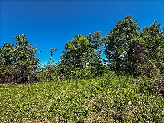 5th image of LOT 1 Altamont Rd