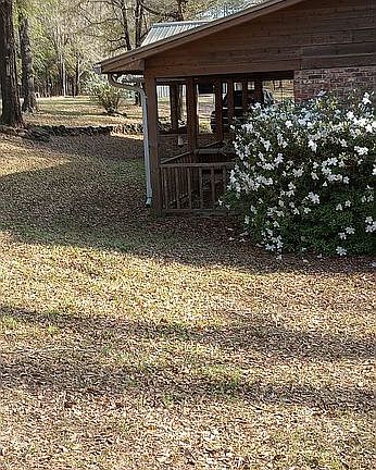 Side of back of house