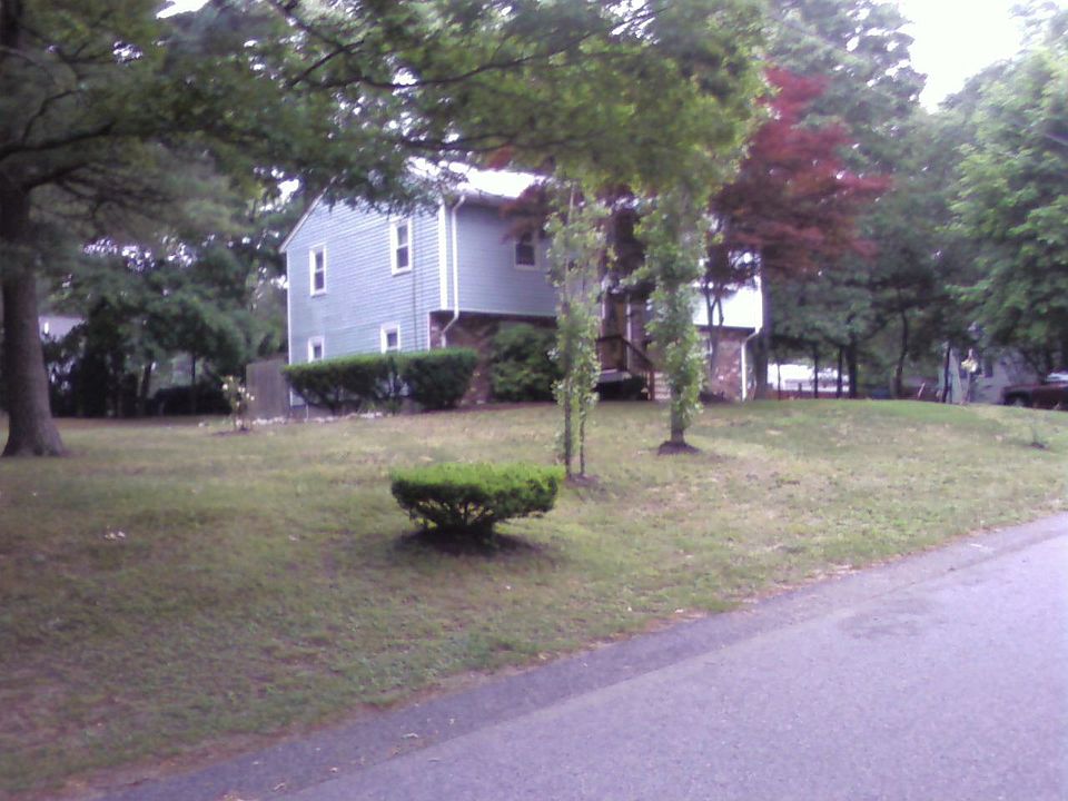 rent, rent to own, buy