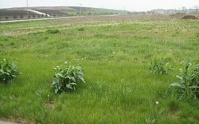 2nd image of Bungalow Rd Lot 9