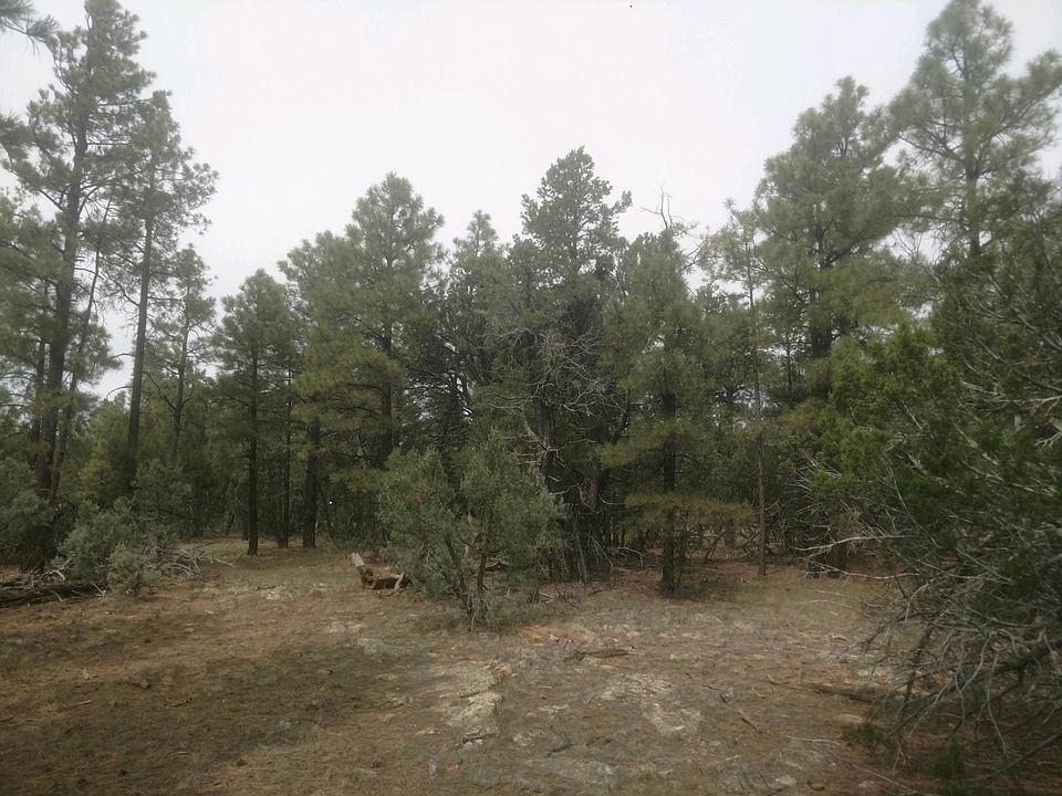 1st image of 6494 Mogollon Trl