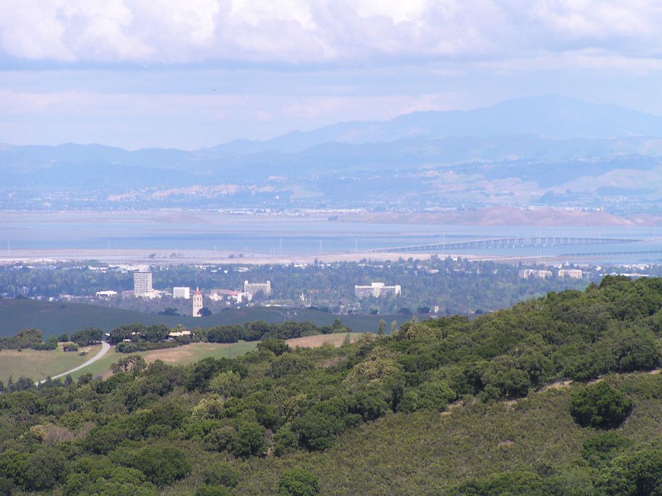 SF Bay View