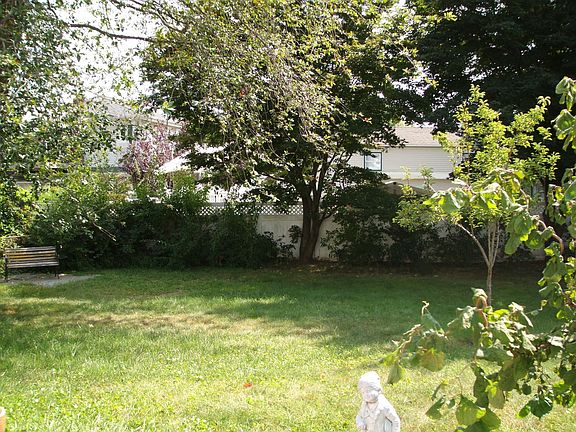 Big Parklike Backyard
