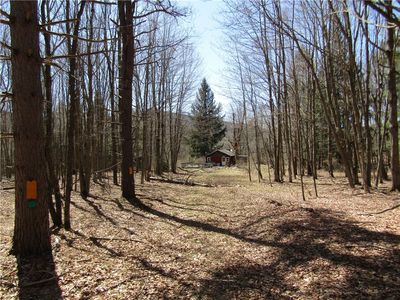 239 Lore Ln, Denver, NY, 12421