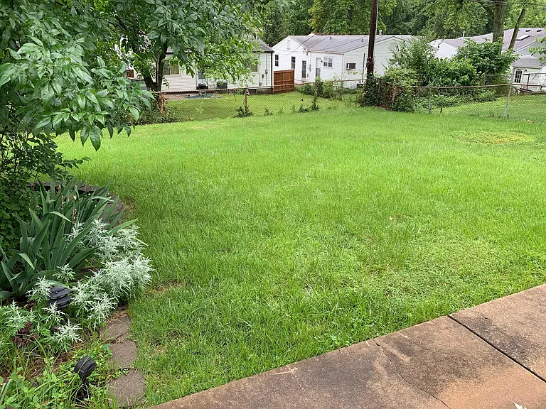 Back yard