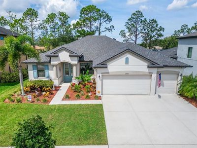 12132 Creek Preserve Dr, Riverview, FL, 33579