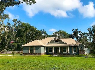 10412 Johnny Davis Trl, Lithia, FL 33547