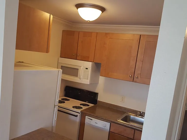2833 Magazine St #103 — Photo 6