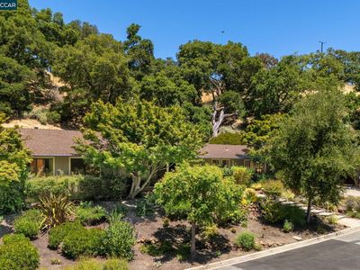 149 Castle Ct, Lafayette, CA, 94549