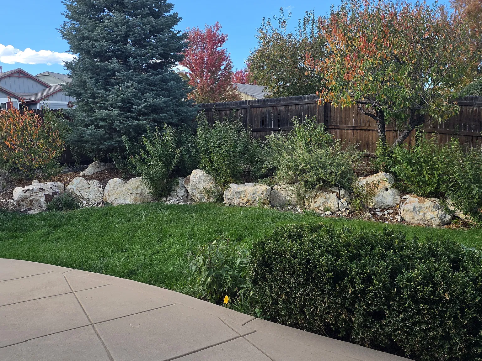 5 bed, 4349 sqft, $3,650 — Photo 3