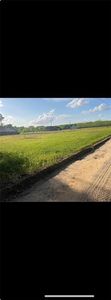 N/a Jb Eason Rd, Screven, GA, 31560