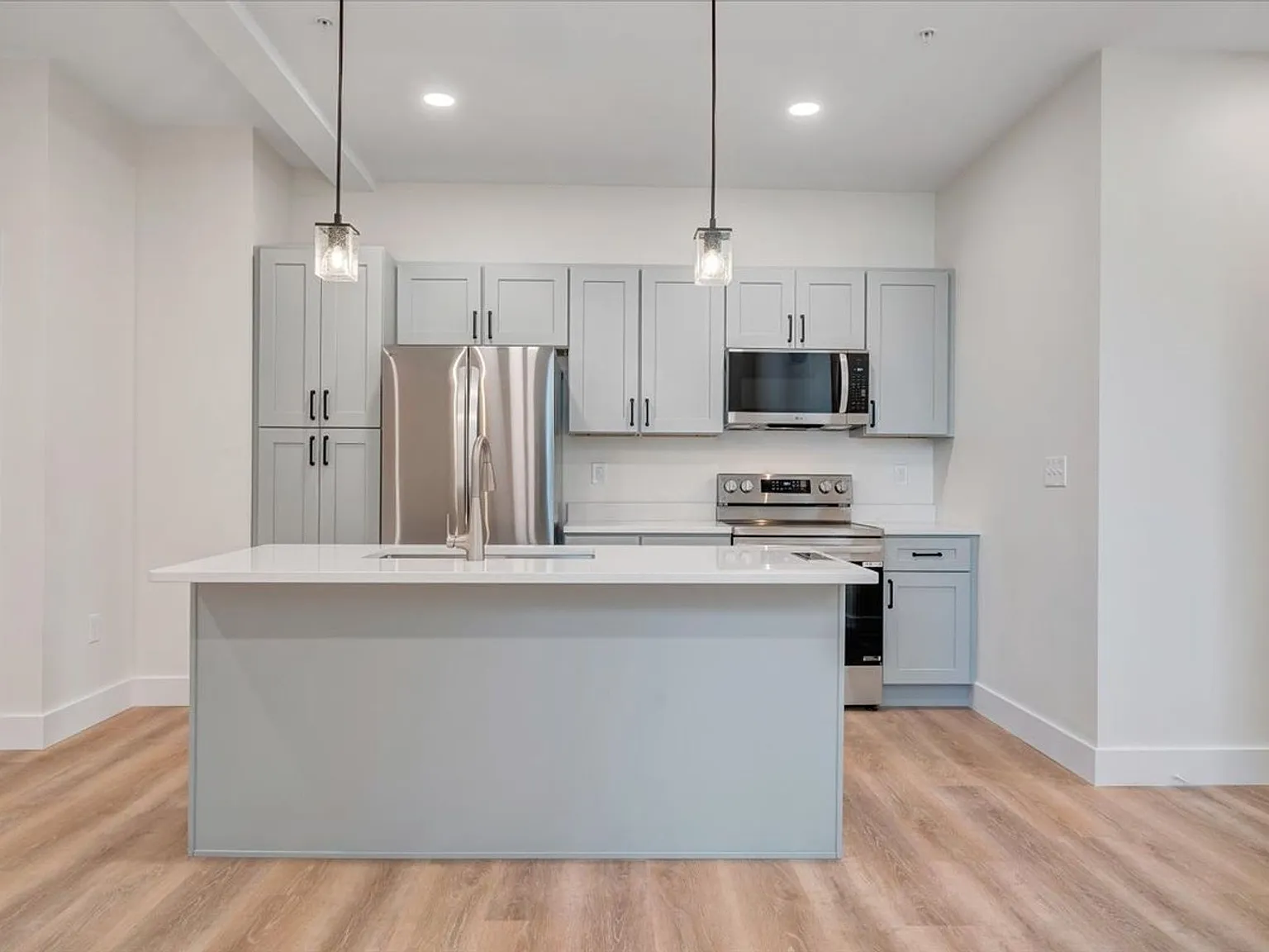 Recently Renovated 1BR Apartment in Vinton - Premium Finishes! — Photo 1