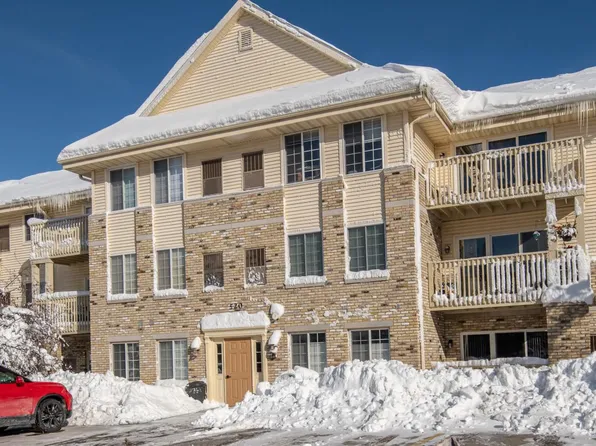 520 Windstone DRIVE #205, Hartland, WI 53029