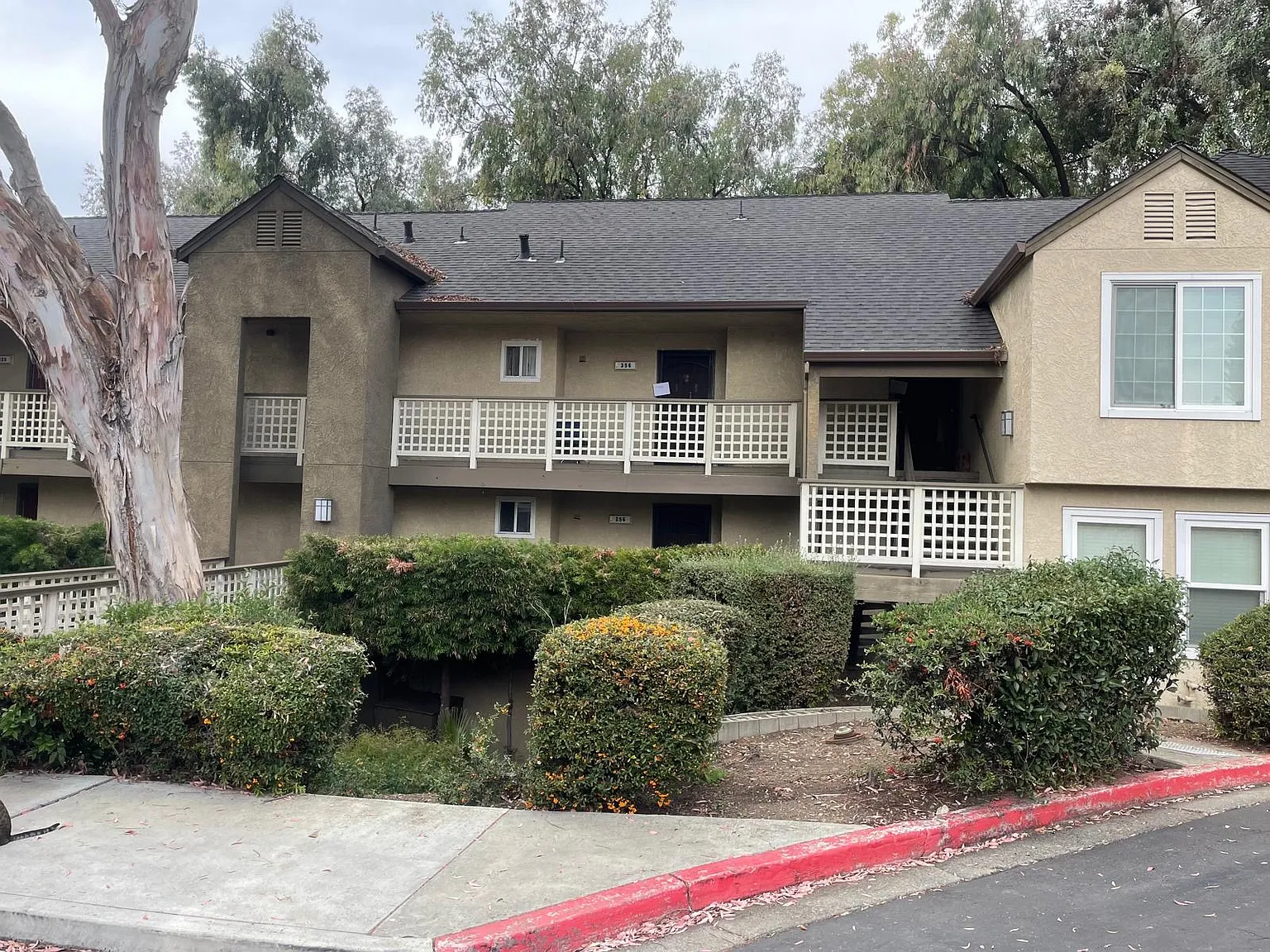 2 bed, 906 sqft, $2,950 — Photo 1