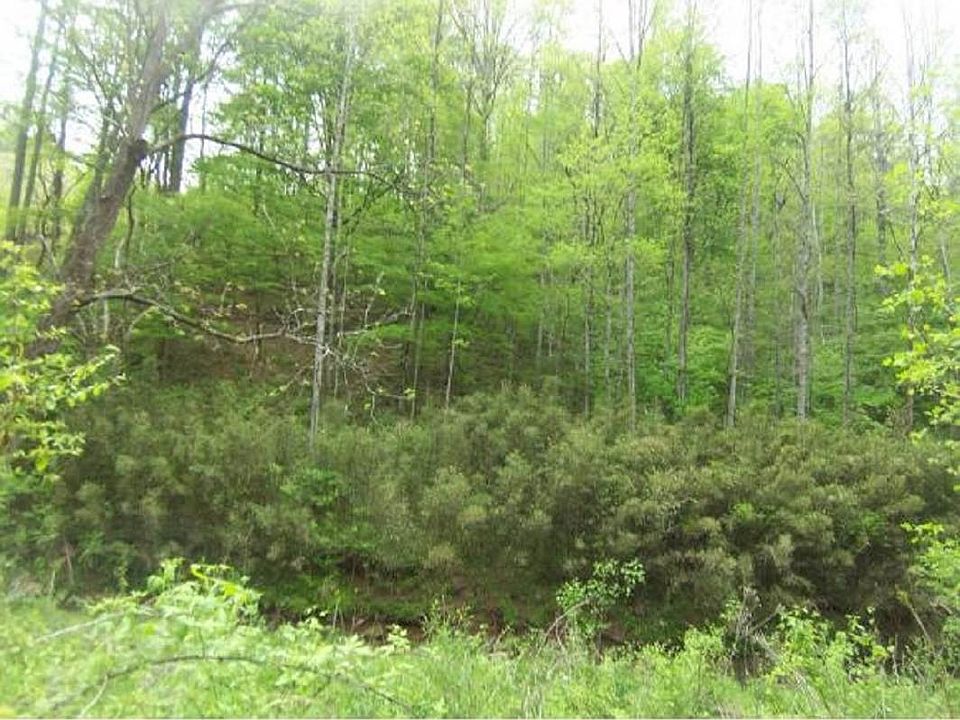 1st image of 0 Tarpine Valley Dobson Hollow Ln