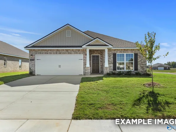 209 Cave Lake Dr, Owens Cross Roads, AL 35763