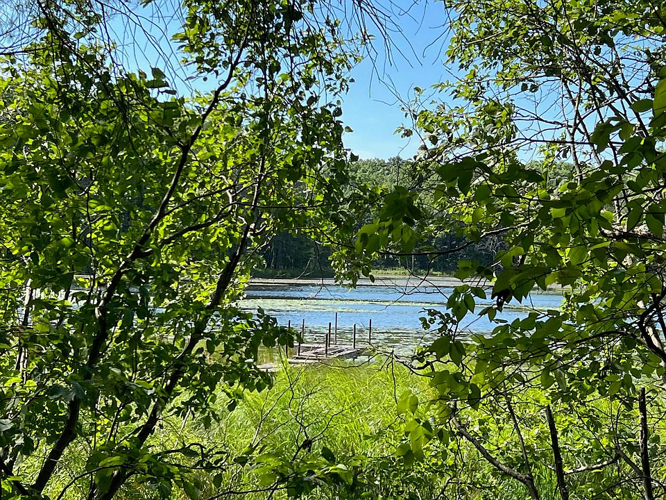 11593 N Midget Lake Dr, Irons, MI 49644 Zillow