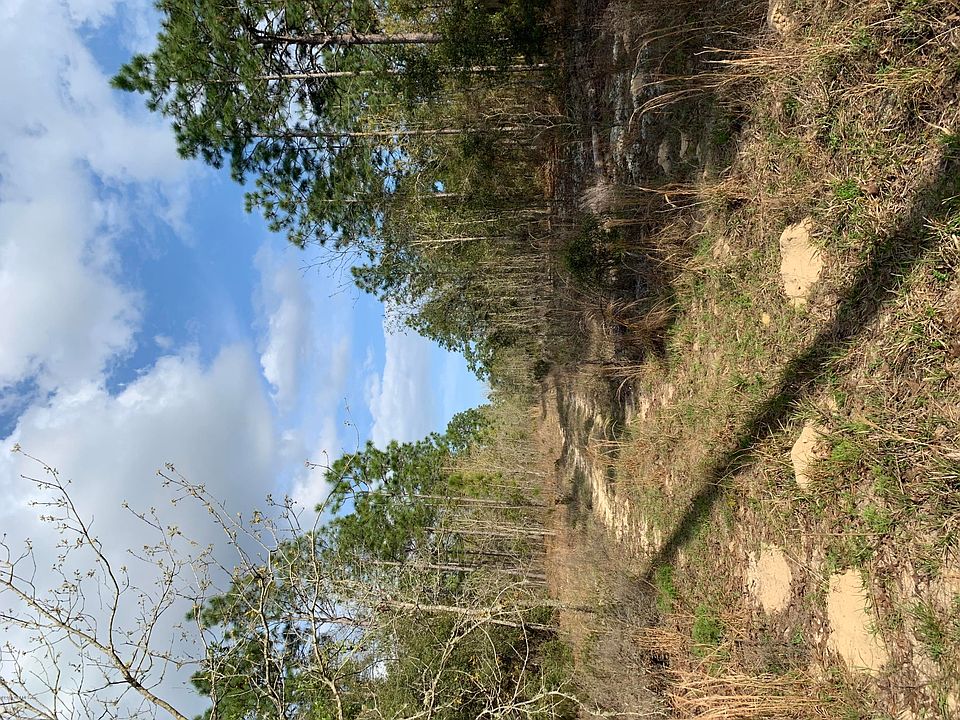 2nd image of 1219 Baden Powell Rd