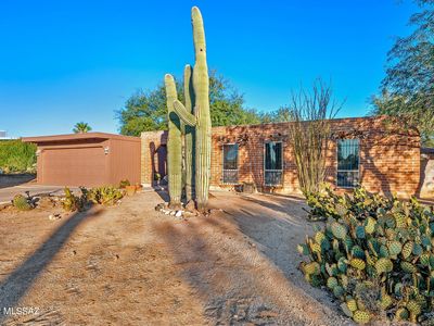 1427 N Sarnoff Dr, Tucson, AZ, 85715