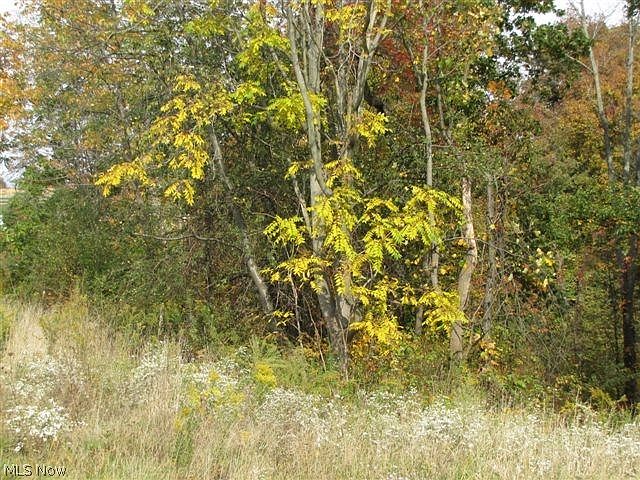 2nd image of 515 State Rte