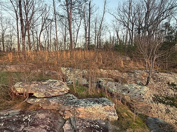 5th image of 17 Scenic Hwy