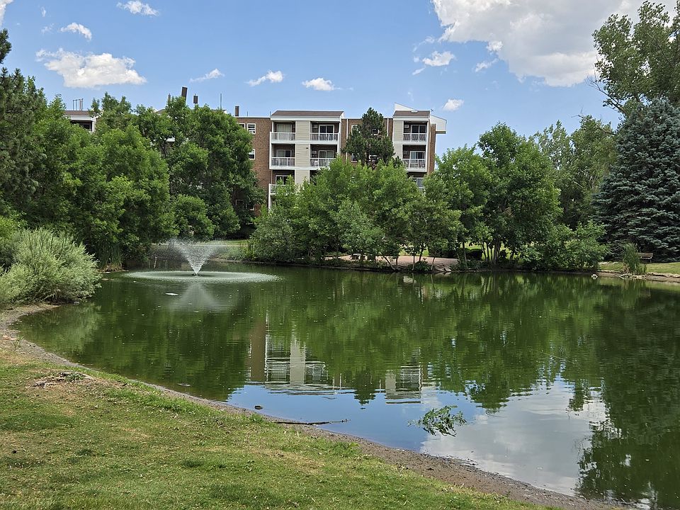 Pond