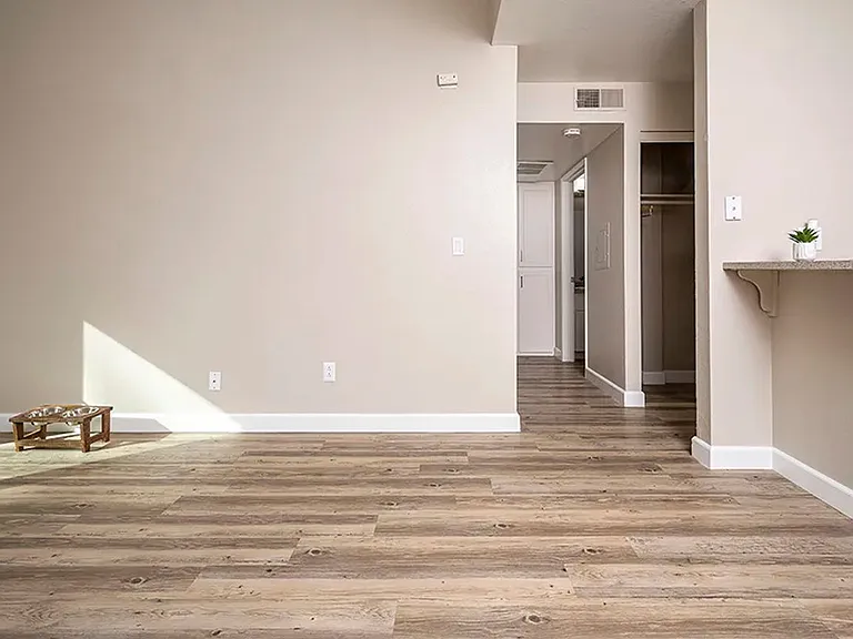 Americana Apartments — Photo 8