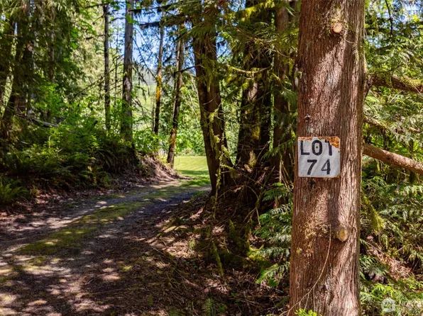0 Lot 74 Skagit View Drive, Concrete, WA 98237