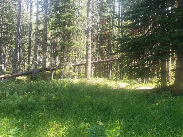 Boston County Rd #169, Philipsburg, MT 59858