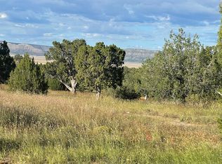58183 N Calle Carlota, Seligman, AZ 86337