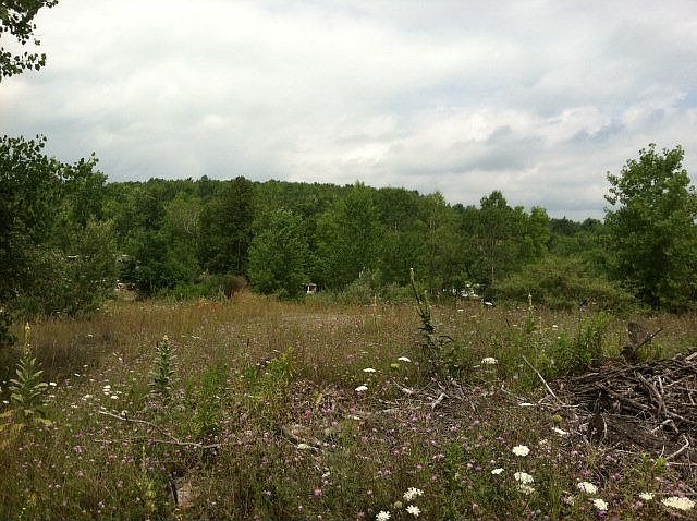 2nd image of 112 Bannister Rd