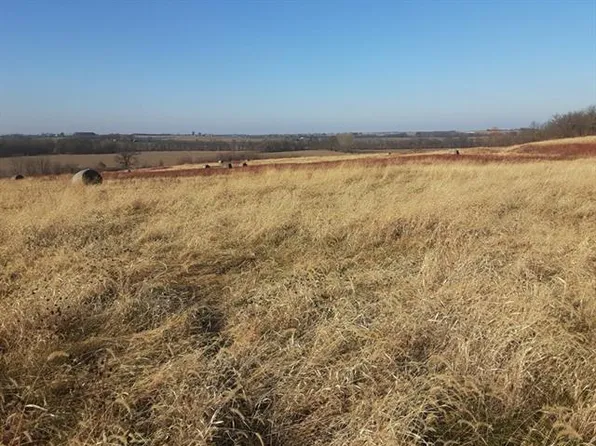 Poplar Rd, Higginsville, MO 64037