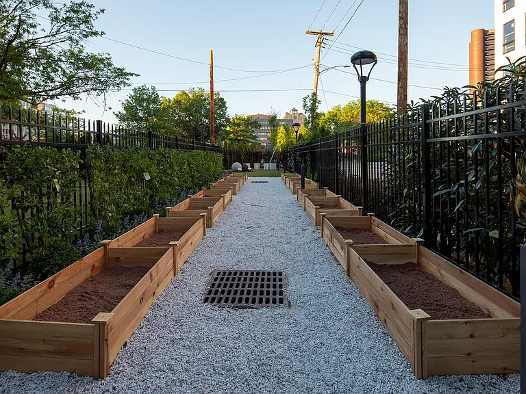 Community Garden