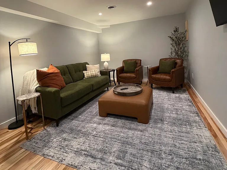 Basement level living room