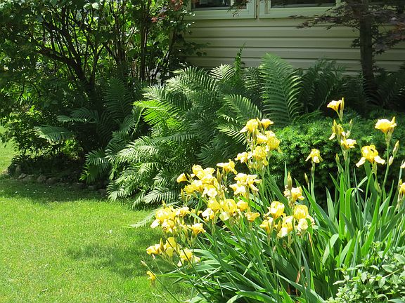 Completely landscaped