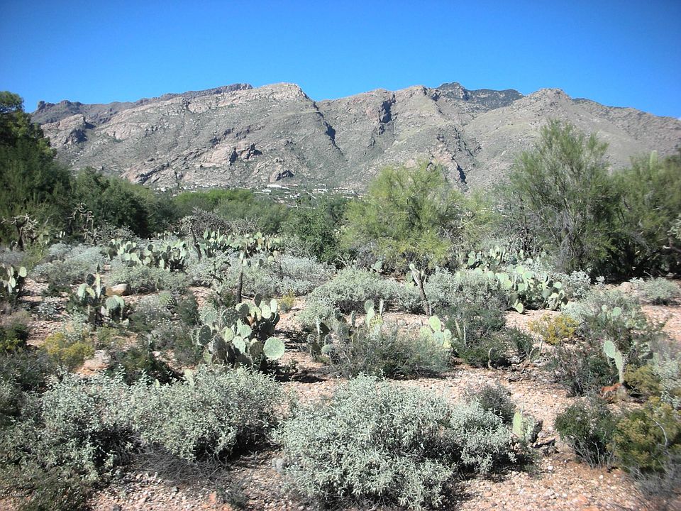 1st image of 5411 E Camino Bosque