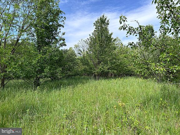 2nd image of 8 Timber Ridge Rd