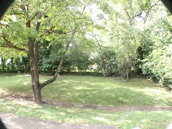 Beautiful Lawn For Pets and Grilling